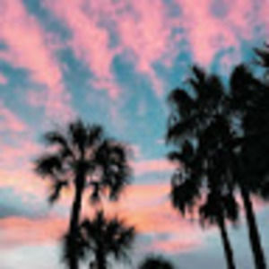 Meet your Posher, Bridget